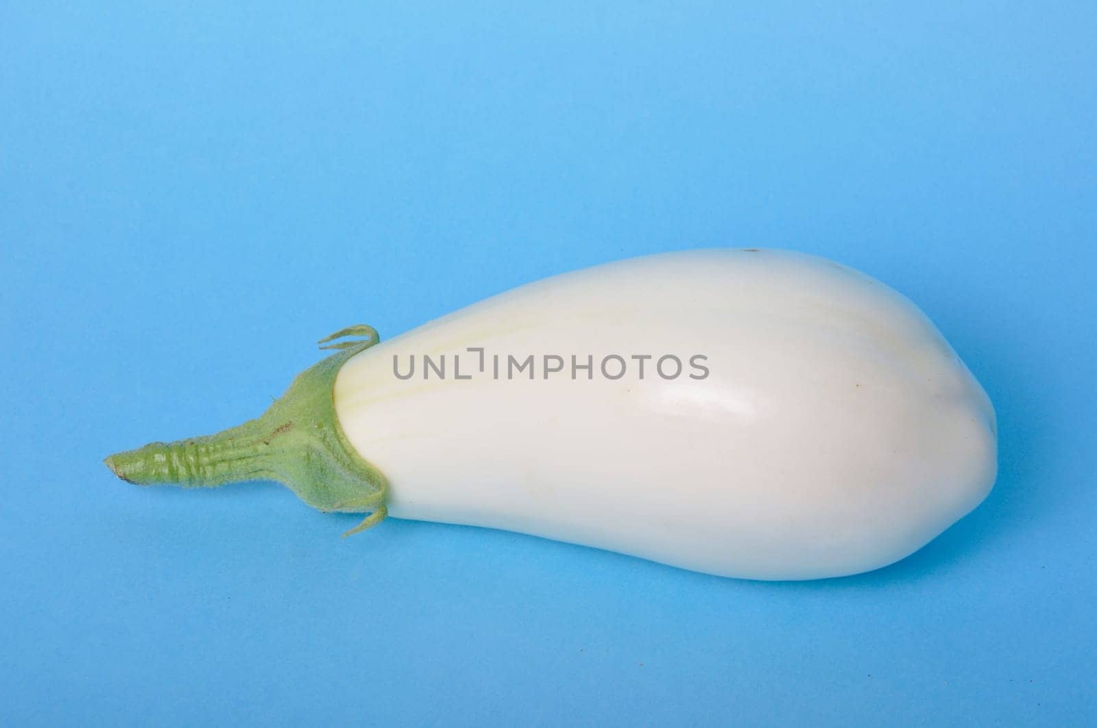 White eggplant on a blue background