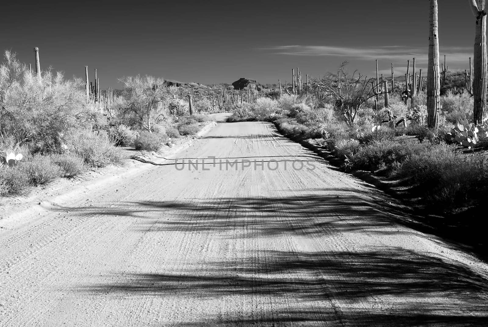 Infrared Dirt road leading off into the desert mountains