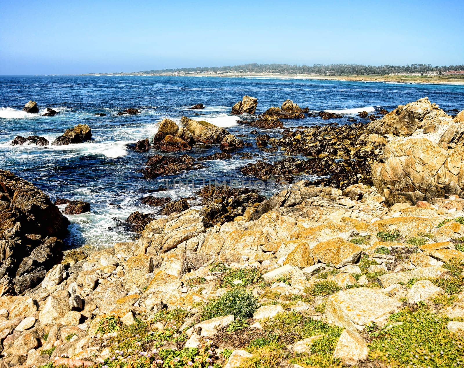 Asilomar State Marine Reserve Monterey Bay California