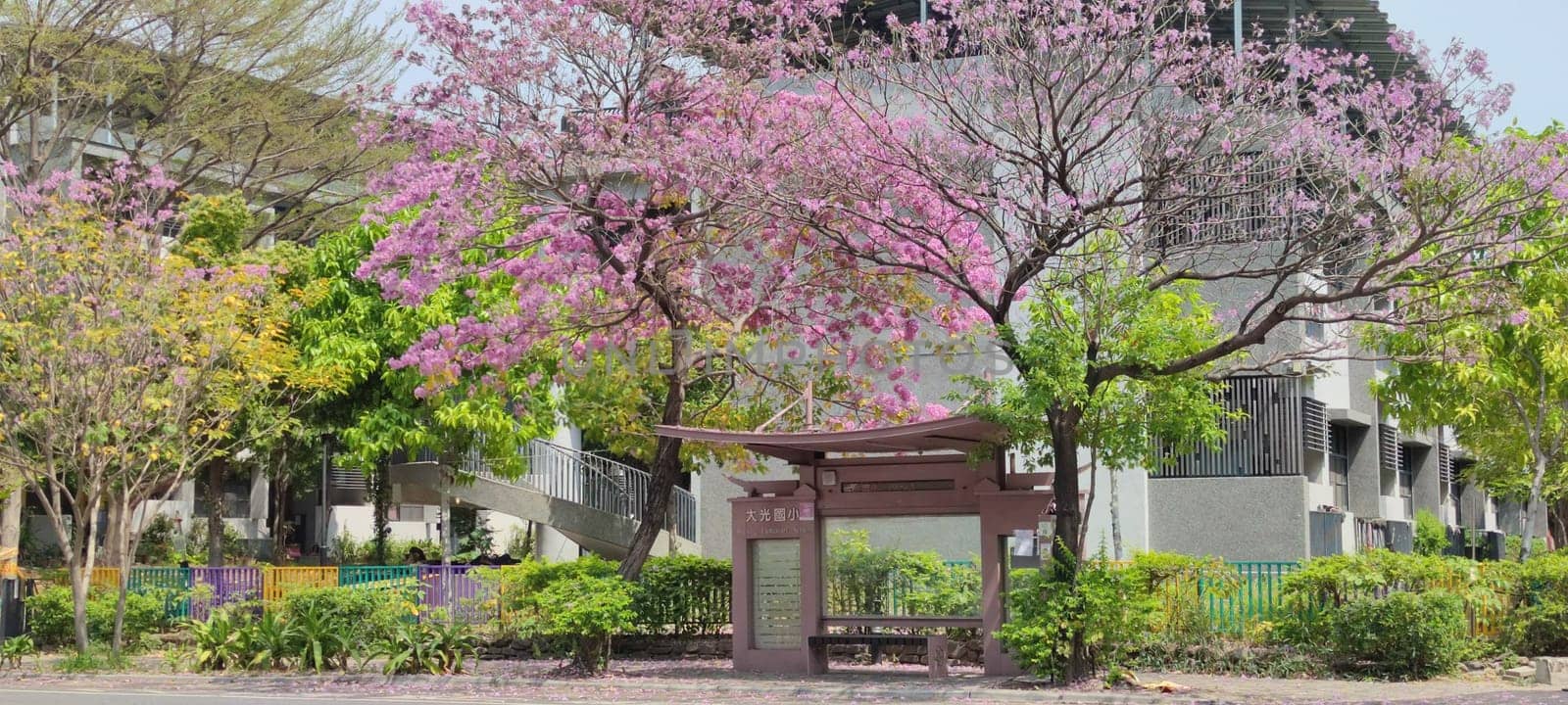 Daguang Elementary School, Tainan - Mar 16, 2022 : The most beautiful bus stop with red wind tree wood, Tainan, Taiwan