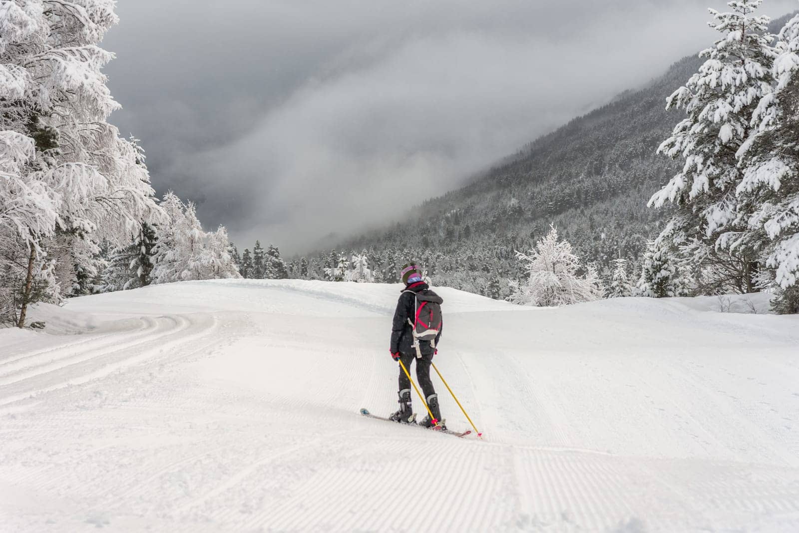 Woman with black ski wear, helmet and backpack skiing down the top of the mountain in ski centre, stryn with clouds and trees in the background, rear view, horizontal