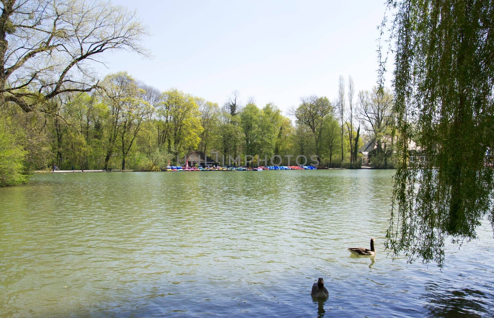 English Garden in Munich