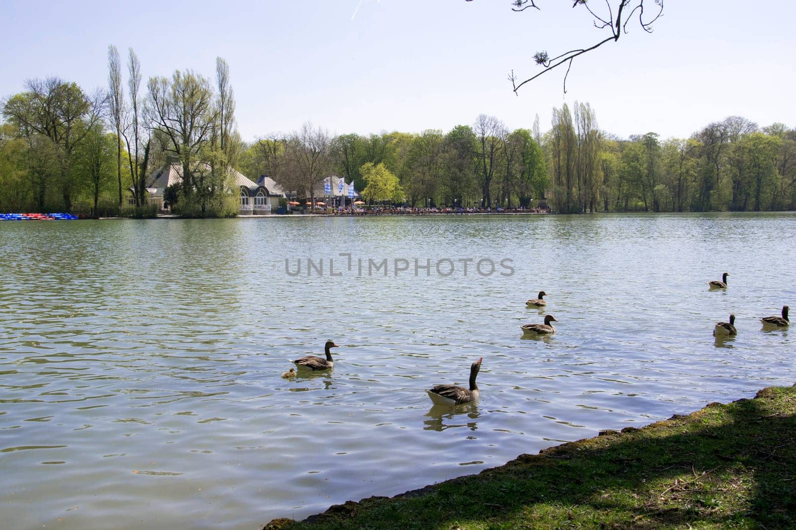 English Garden in Munich