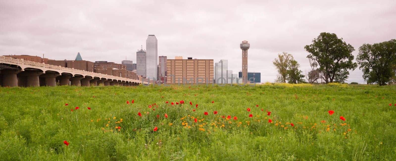 Spring brings wildflowers to the Trinity River Basin that surrounds Dallas Texas