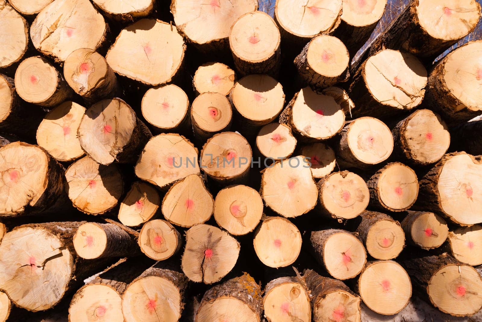 Logs are stacked and reay for transport winter in Minnesota