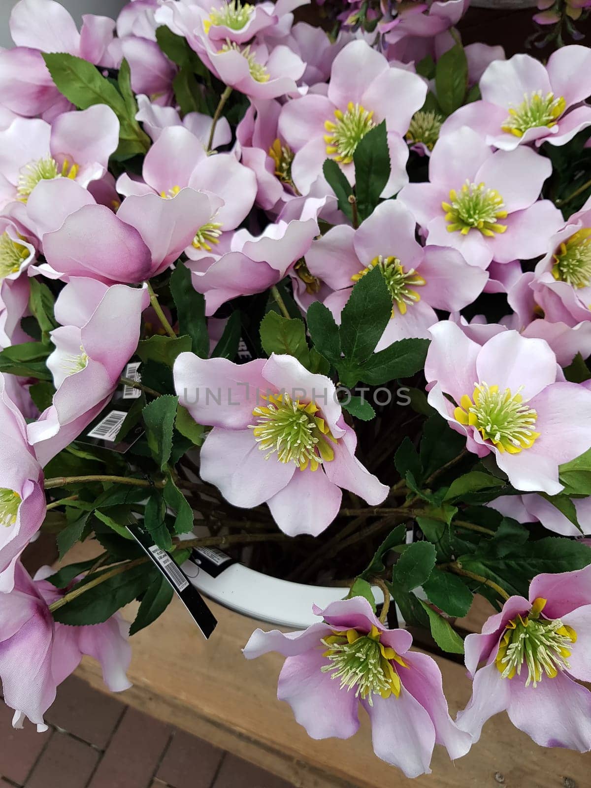 Beautiful flowers background. Abstract background of flowers