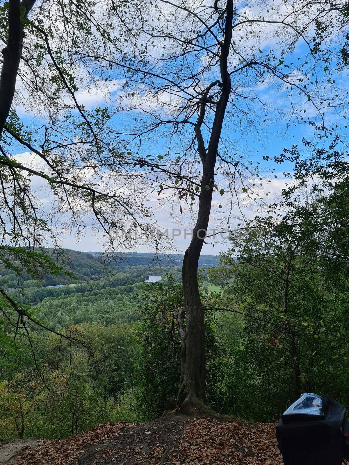 Biker couple riding mountain bike in the forest at countryside