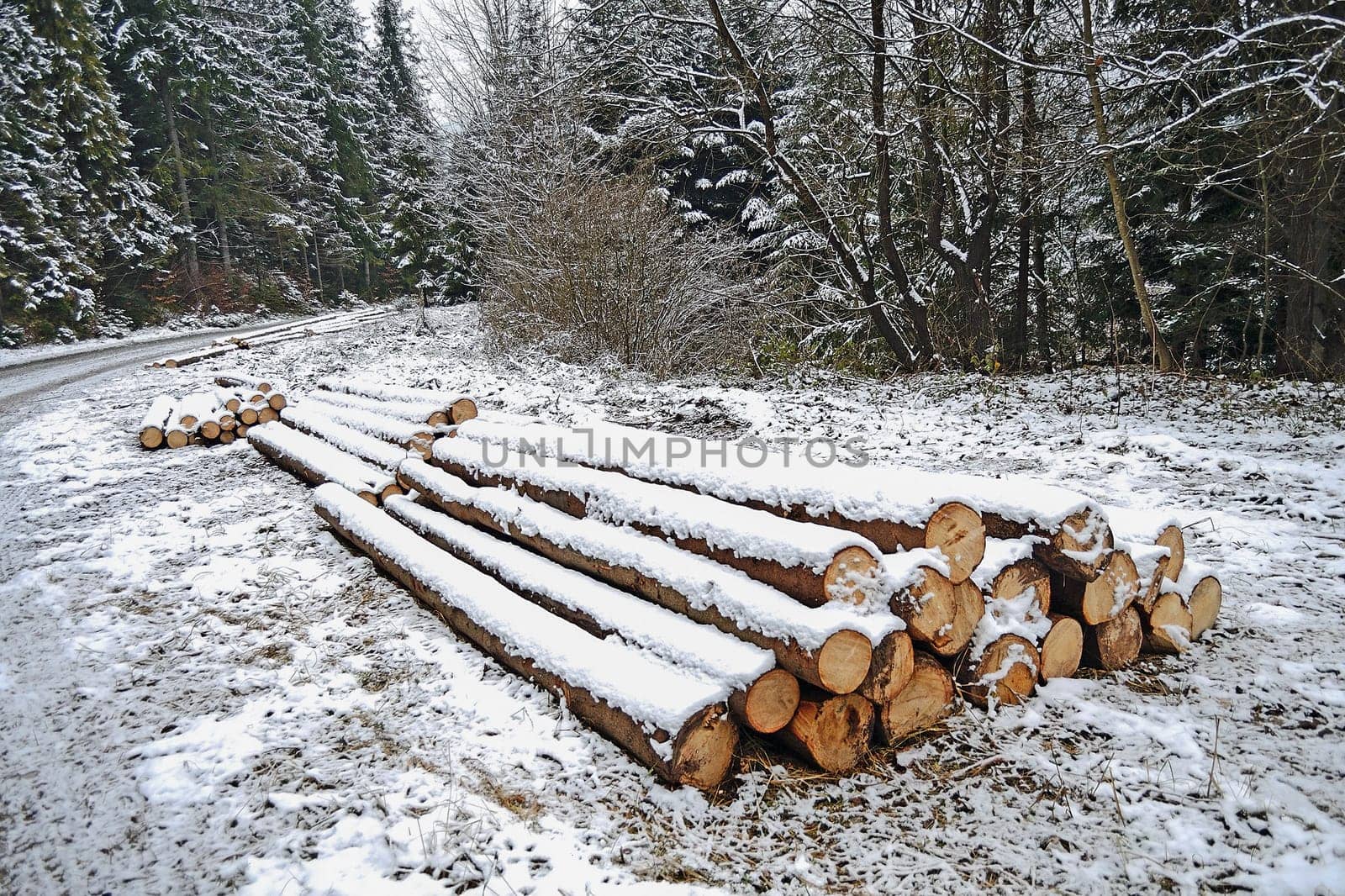 Forest road in winter with logs