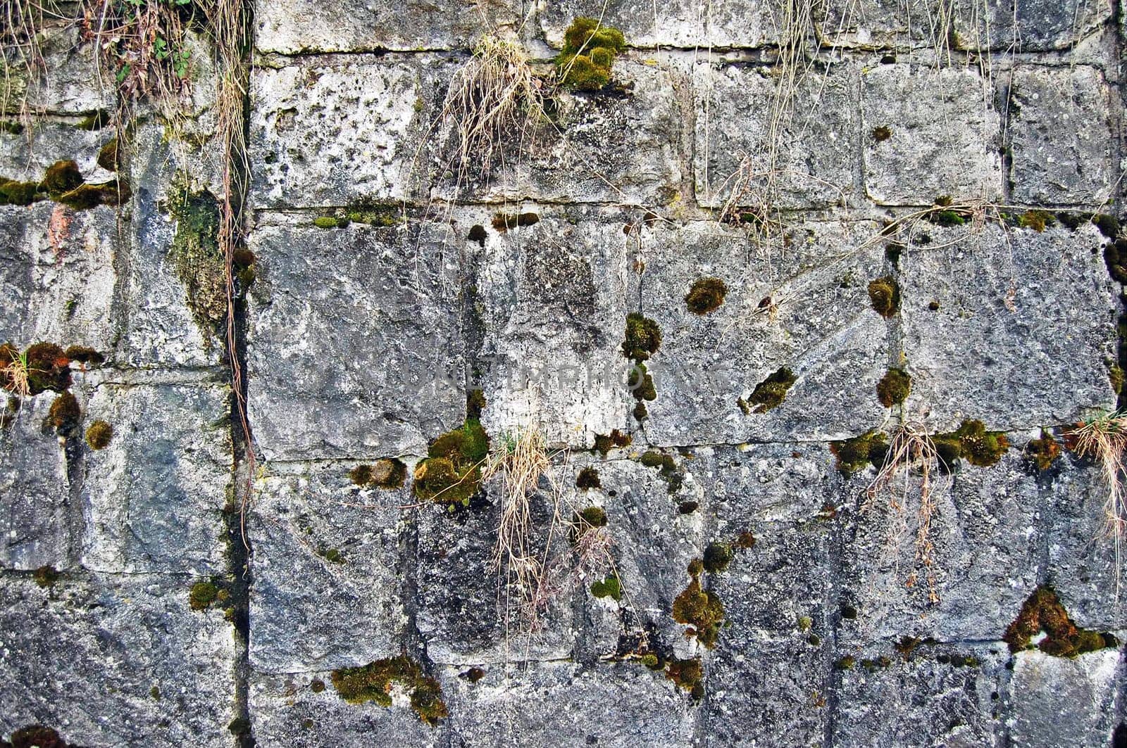 Stone wall