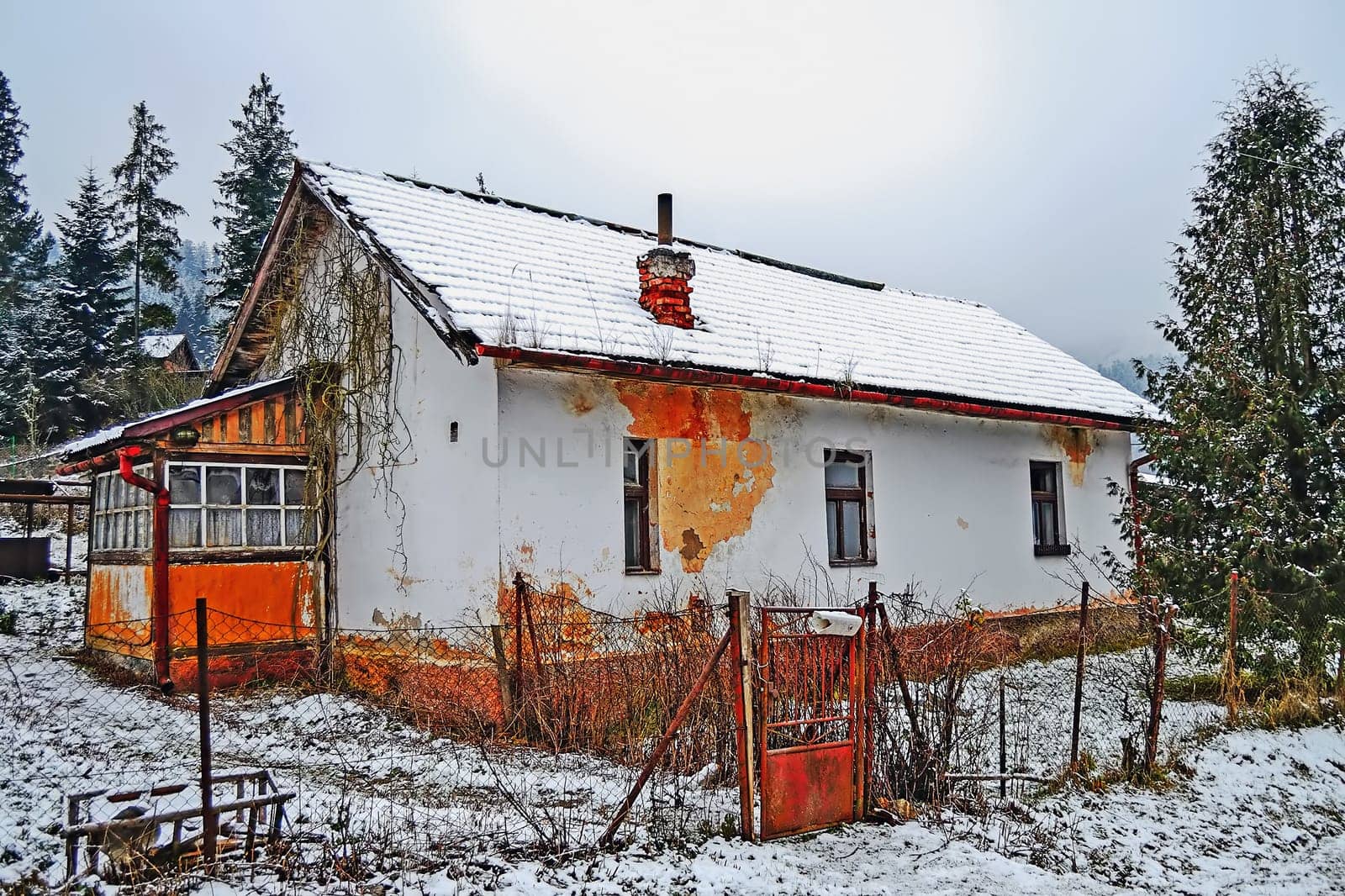 Abandoned house in village by forest