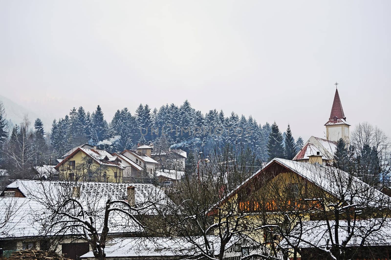 Village with church in winter