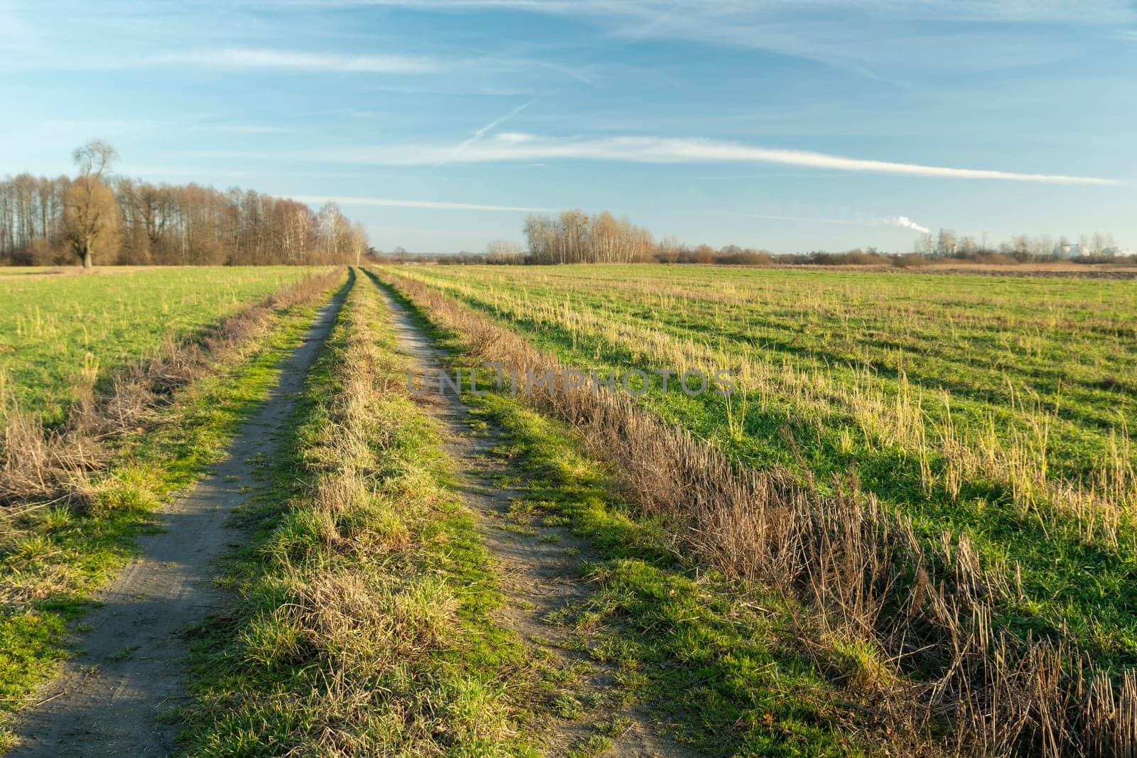 Dirt road through green fields, spring day, Nowiny, Poland