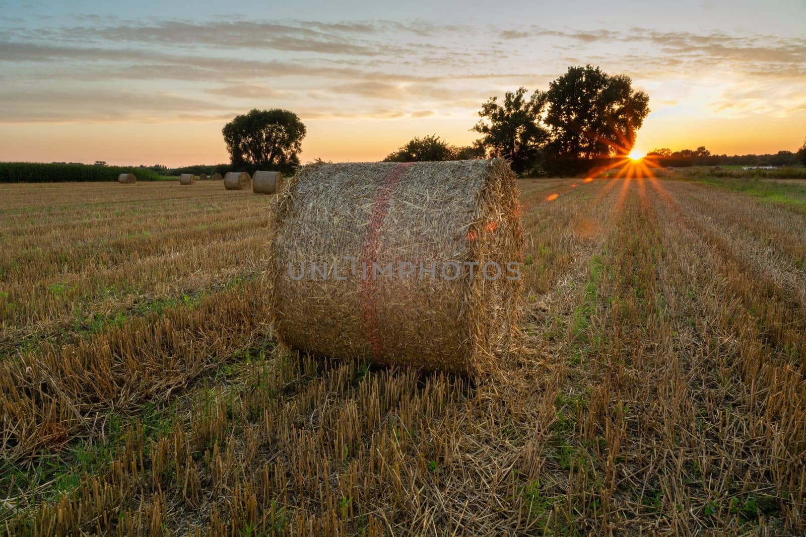 Hay bale in the field and sunset, Nowiny, Poland