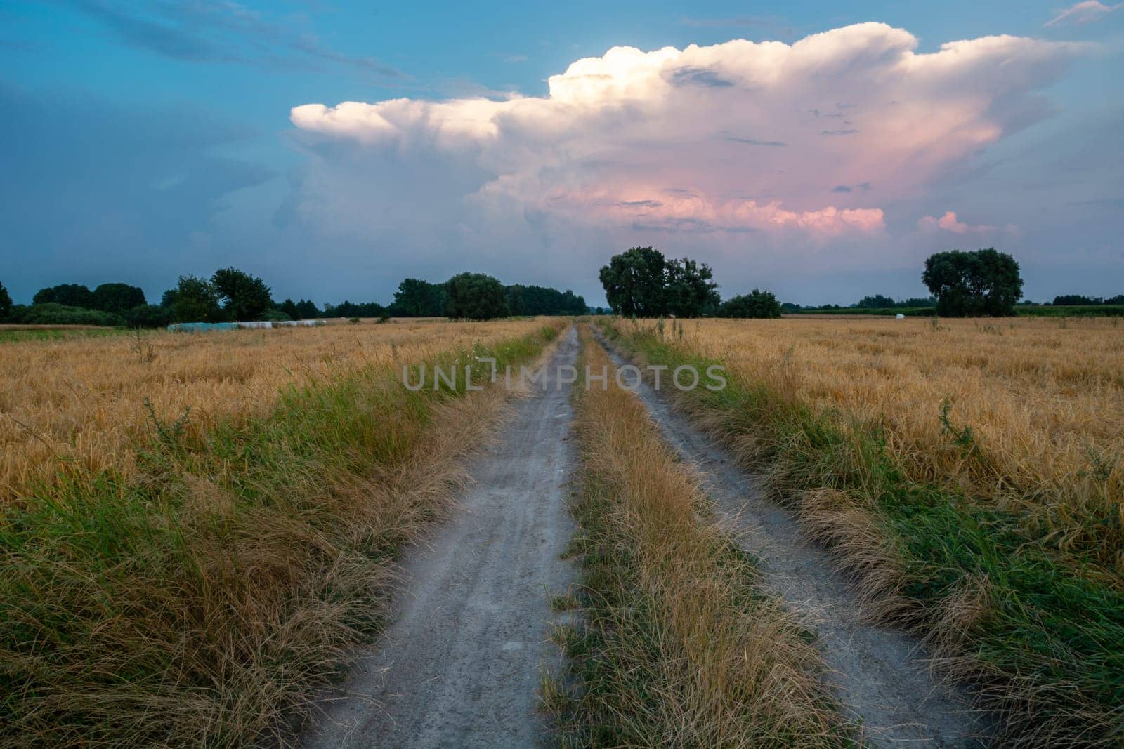 Dirt road through the fields and the evening sky, Nowiny, Poland