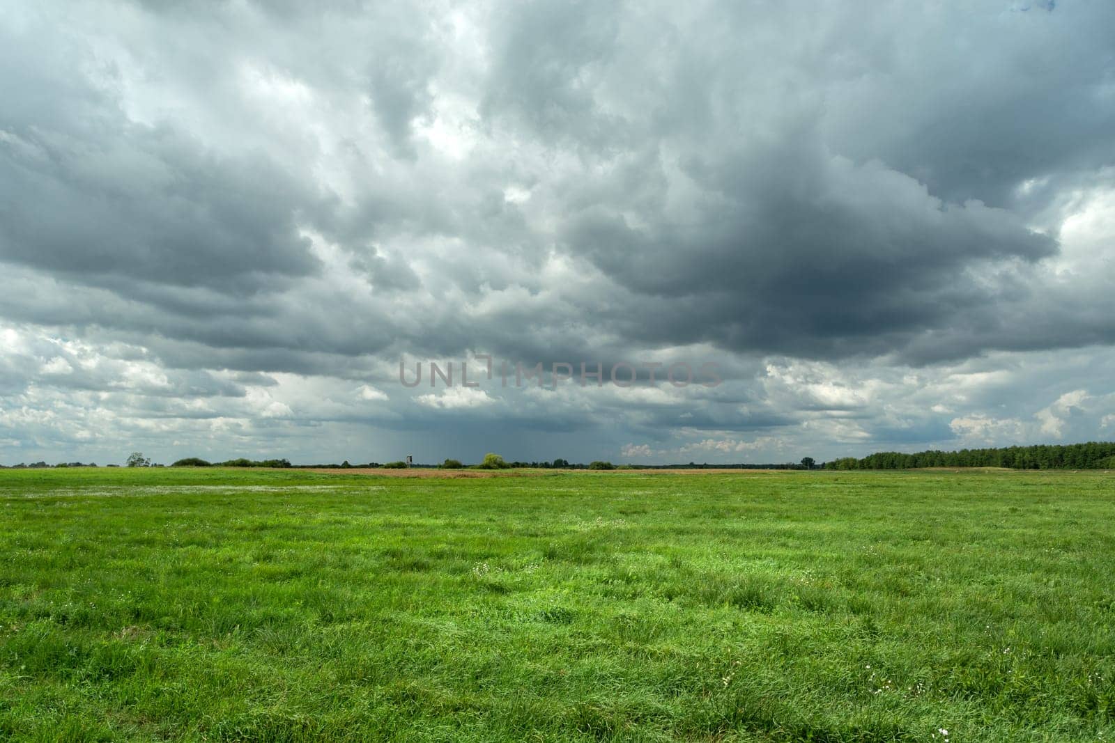 Green large meadow and cloudy sky, summer day, Czulczyce, Poland