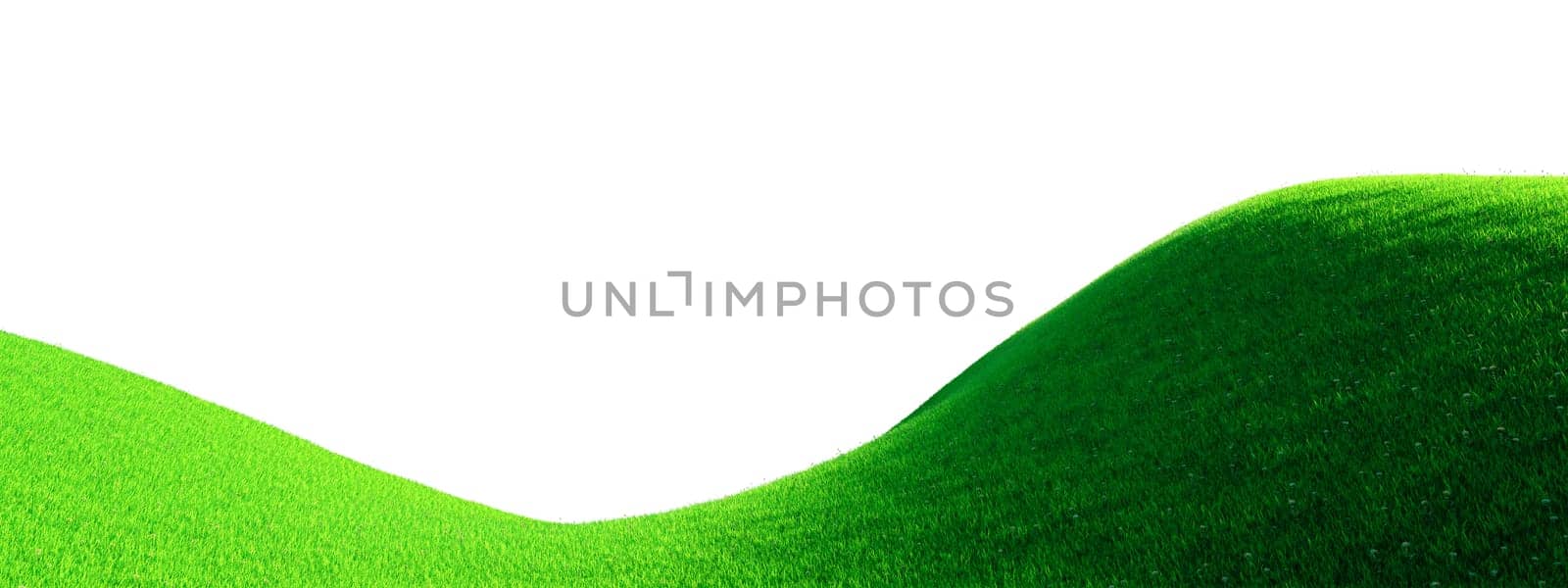 Hills landscape with green grass and white flowers background 3D rendering