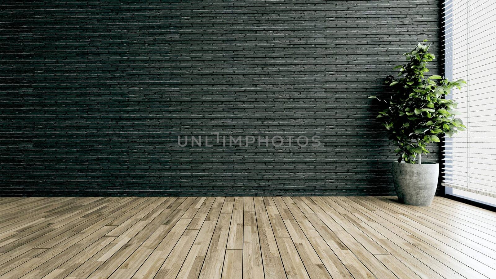 Minimalist design empty modern office or homes. Thought design idea with black brick wall, plant 3D rendering