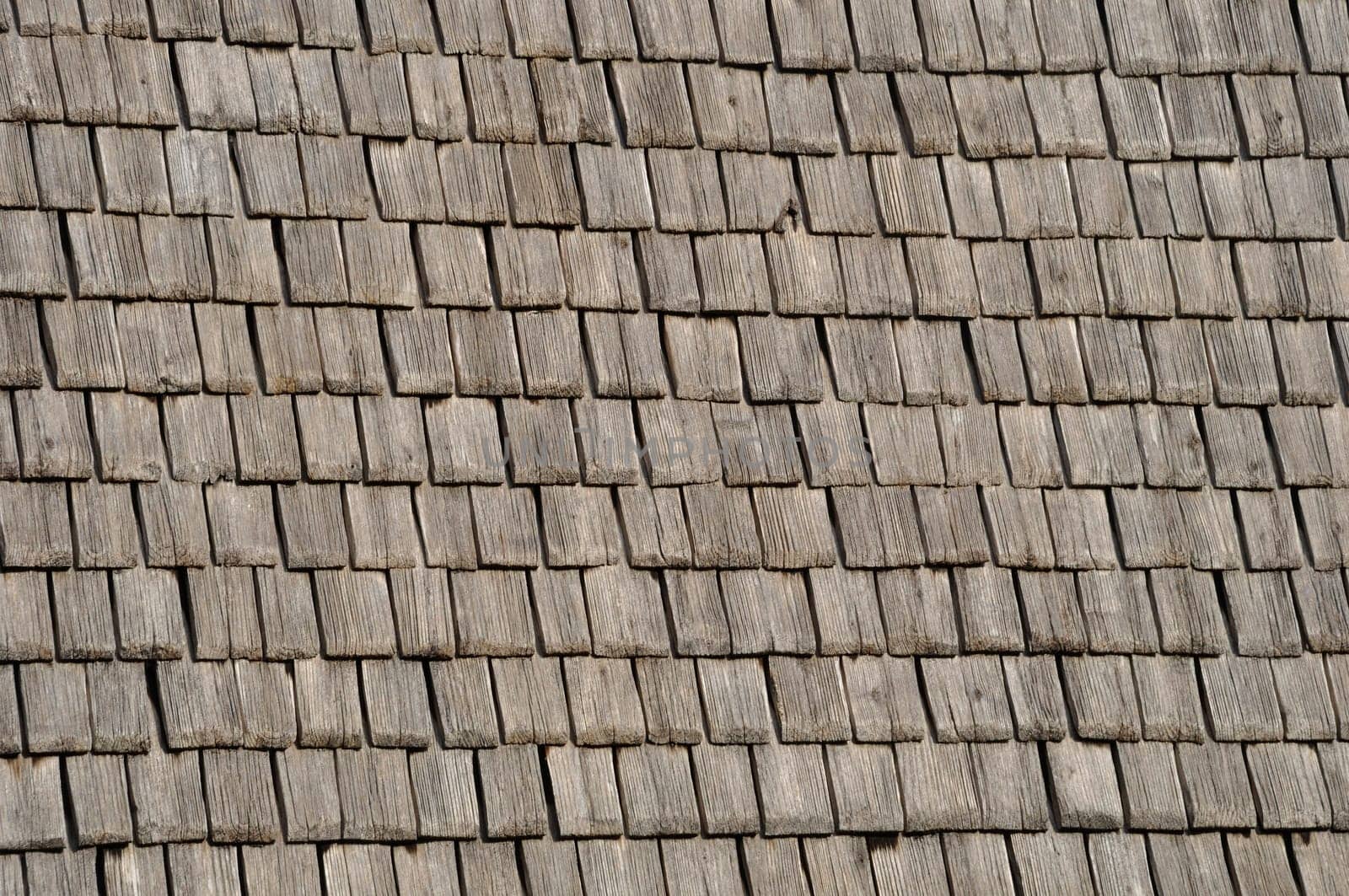Mont Saint michel architectural wood roof
