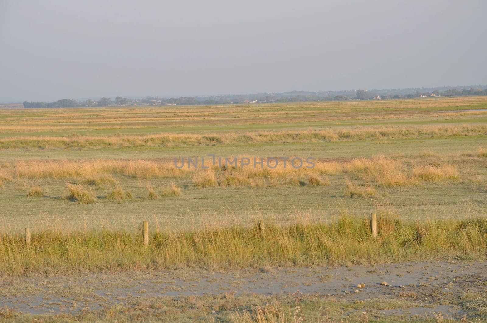 Salt marshes of the bay of  Mont Saint Michel