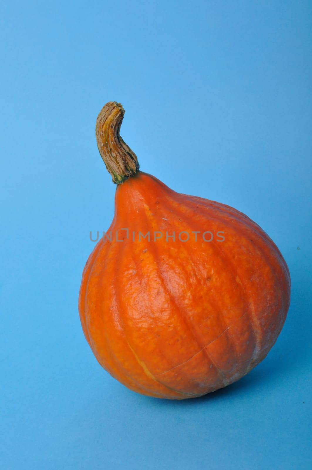 pumpkin on a blue background