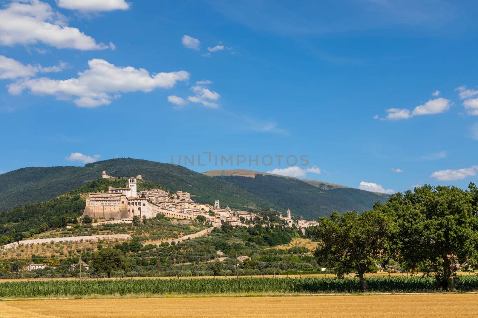 Assisi village in Umbria region, Italy. The town is famous for the most important Italian St. Francis Basilica (Basilica di San Francesco)