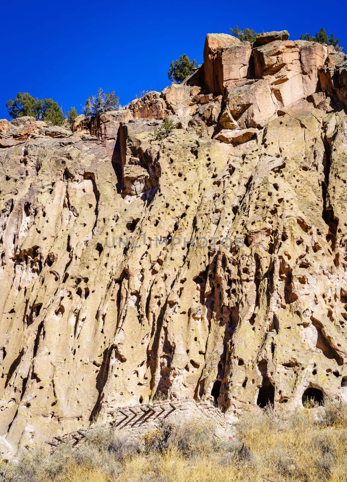 A view of the main cliff of Bandelier National Monument showing cave dwellings