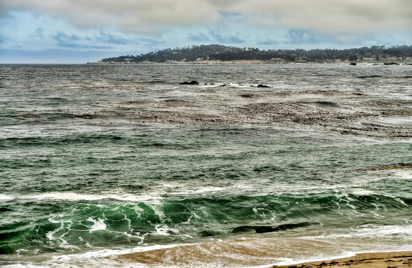 Asilomar State Marine Reserve Monterey Bay California