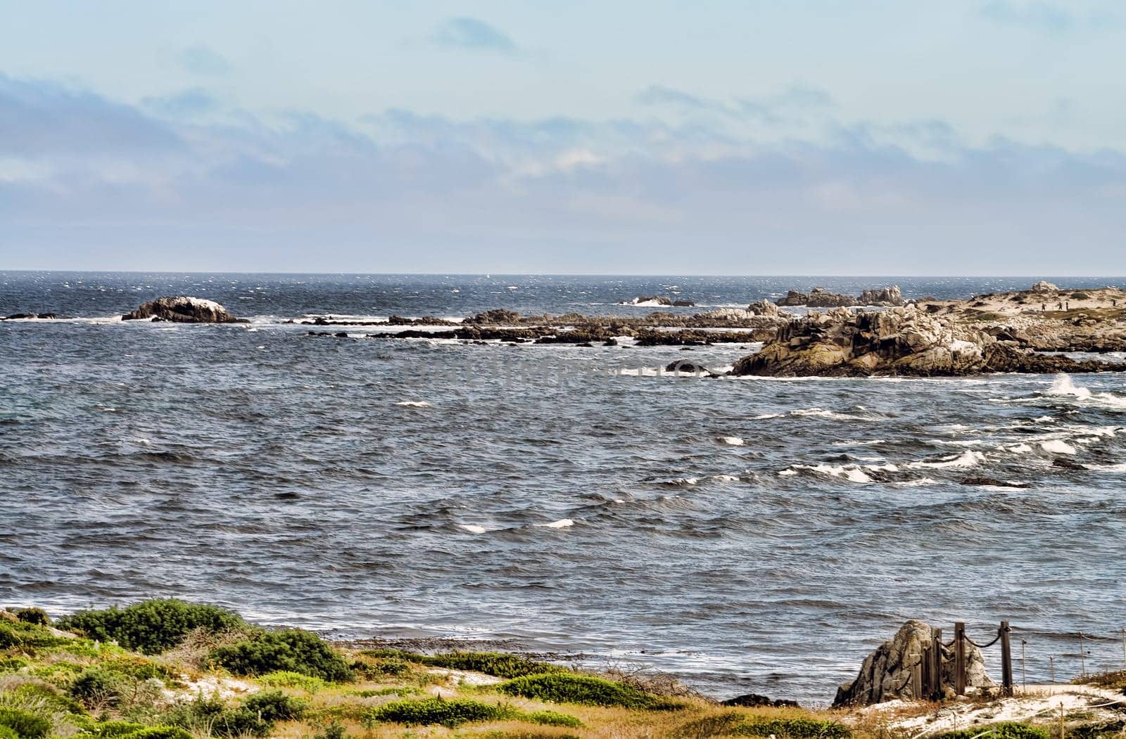 Pacific Ocean Asilomar State Marine Reserve Monterey California
