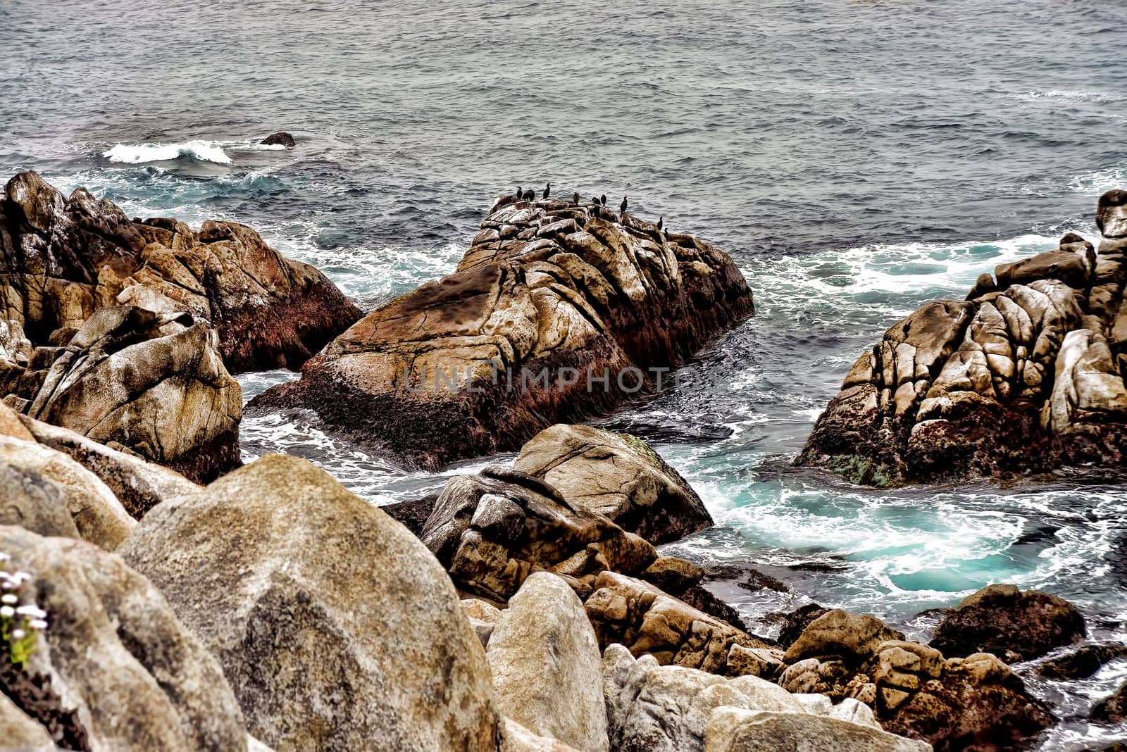 Pacific Ocean Asilomar State Marine Reserve Monterey California