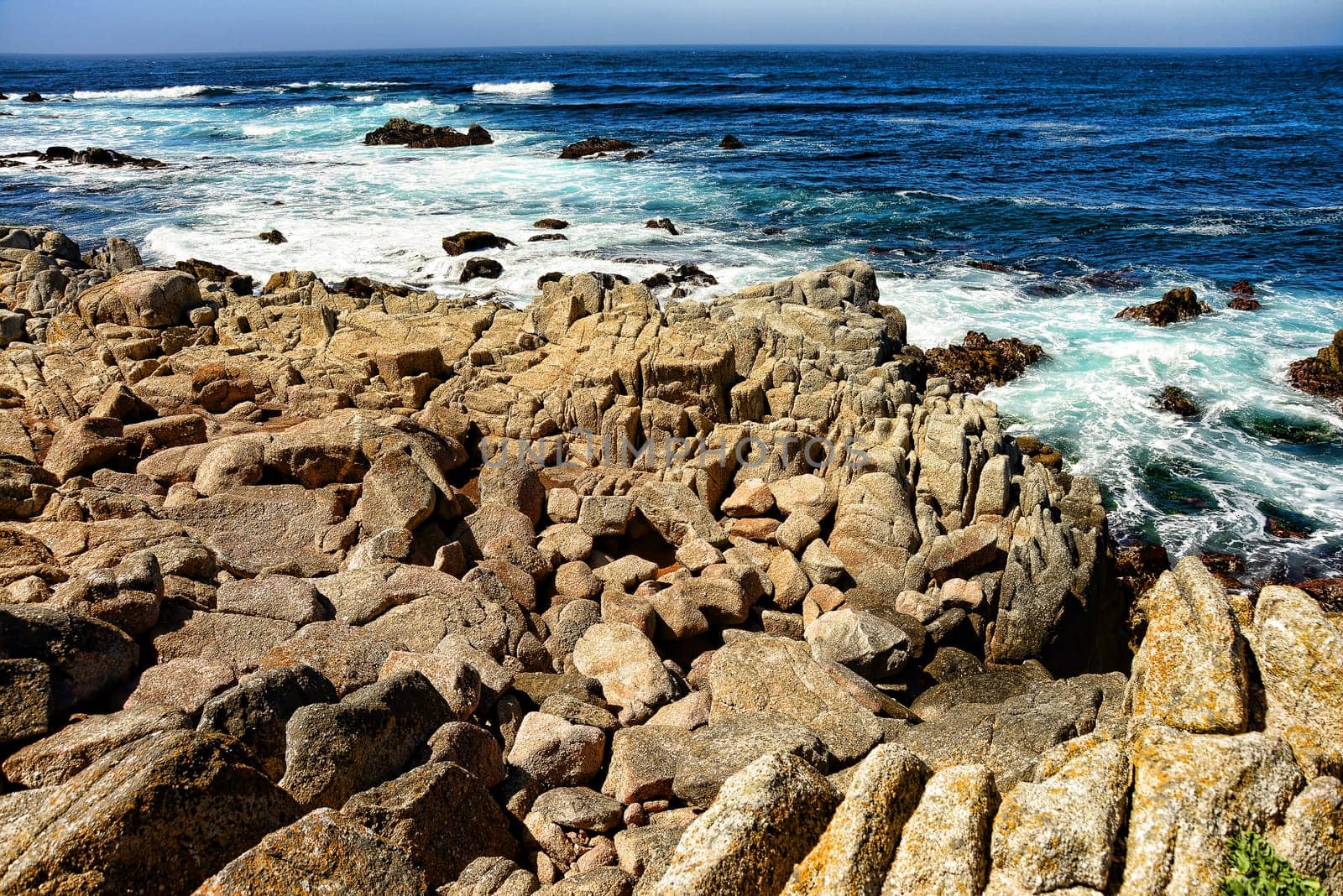 Pacific Ocean Asilomar State Marine Reserve Monterey California