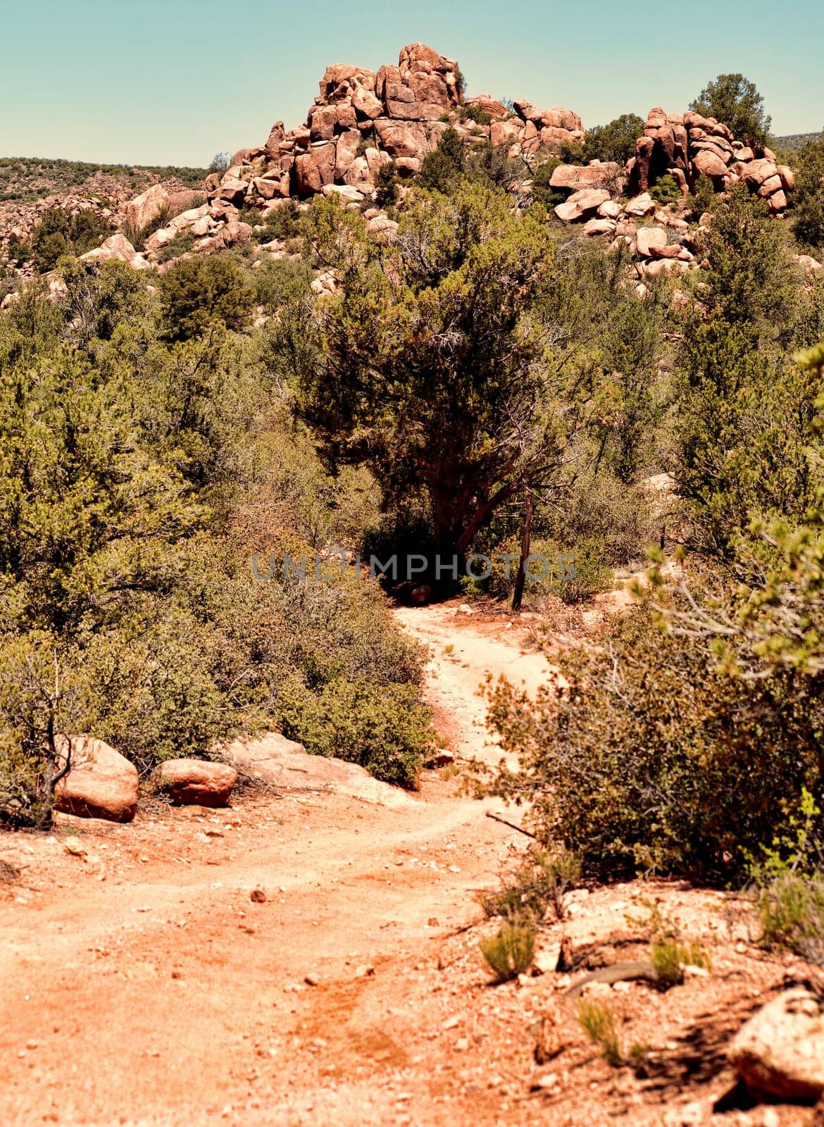 Rocky terrain in north west arizona mountains