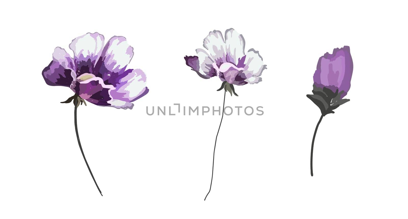 Flowers elements. Flowers isolated on white background. Violet. Vector illustration.