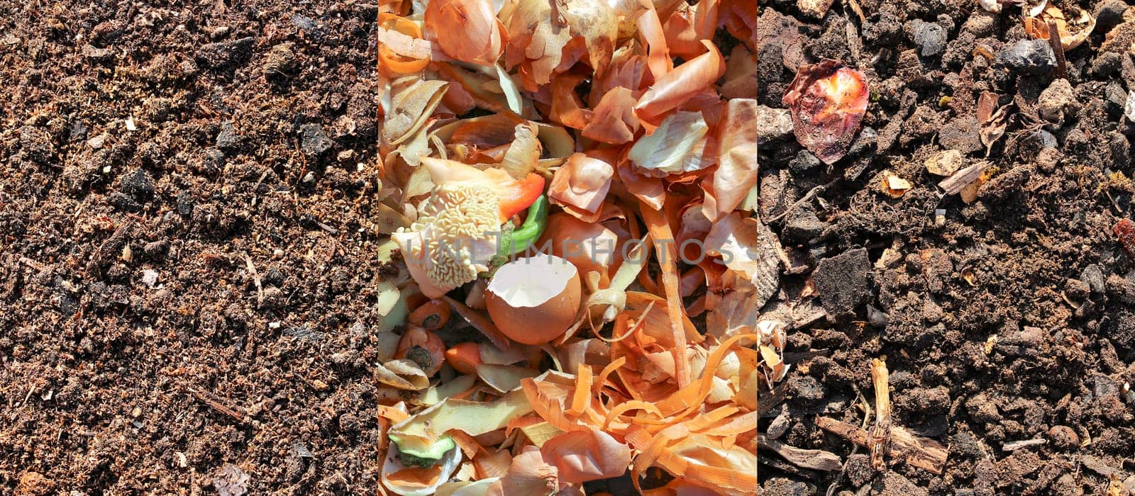 From raw fruit and vegetable scraps to finished compost.
