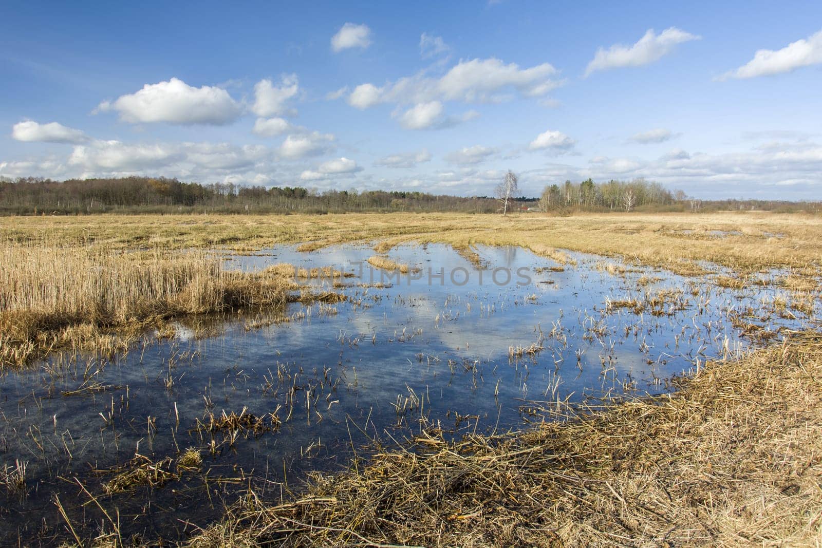 Frozen water in a large meadow and clouds in the sky, winter day