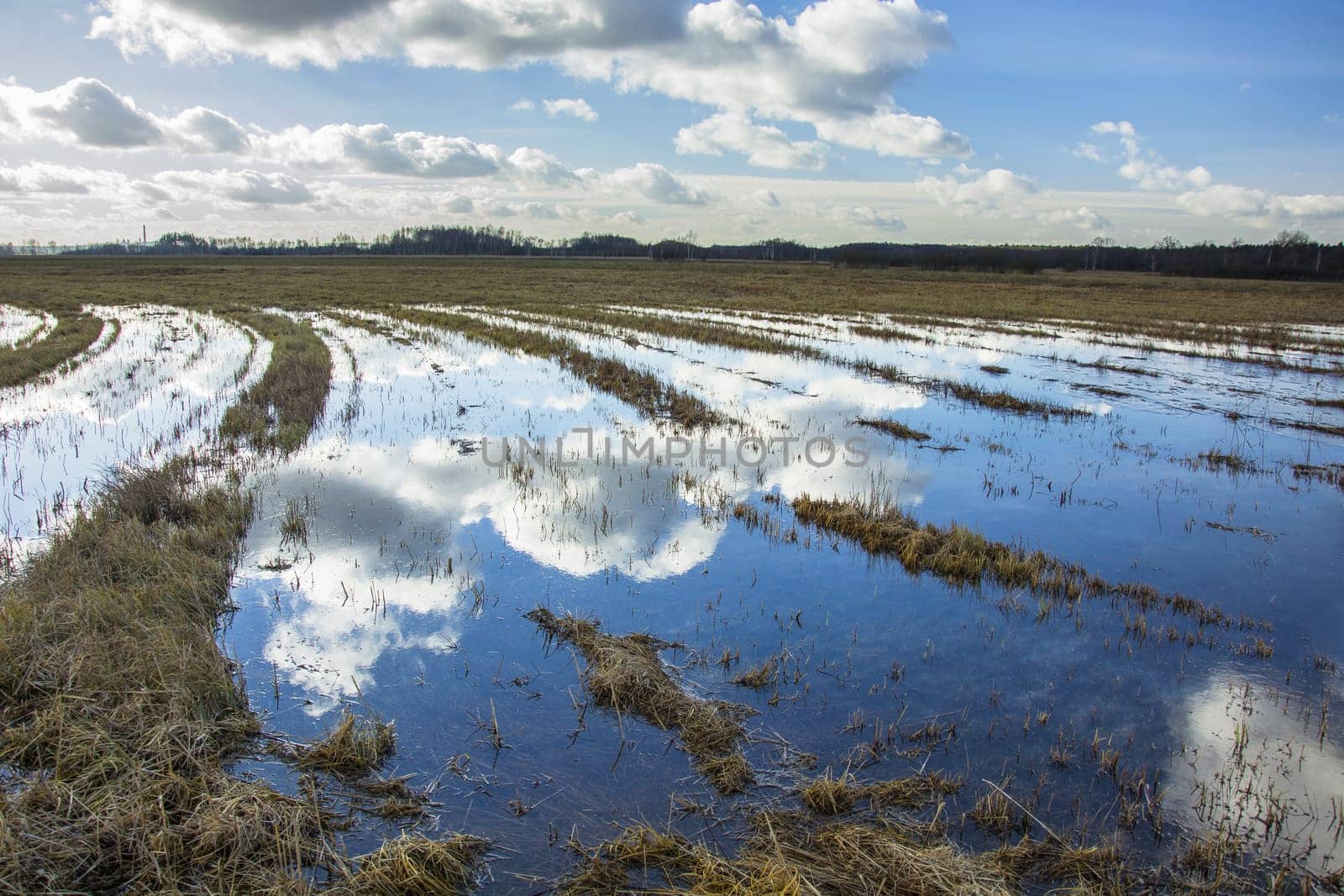 Water in the large meadow and clouds in the sky, Nowiny, Poland