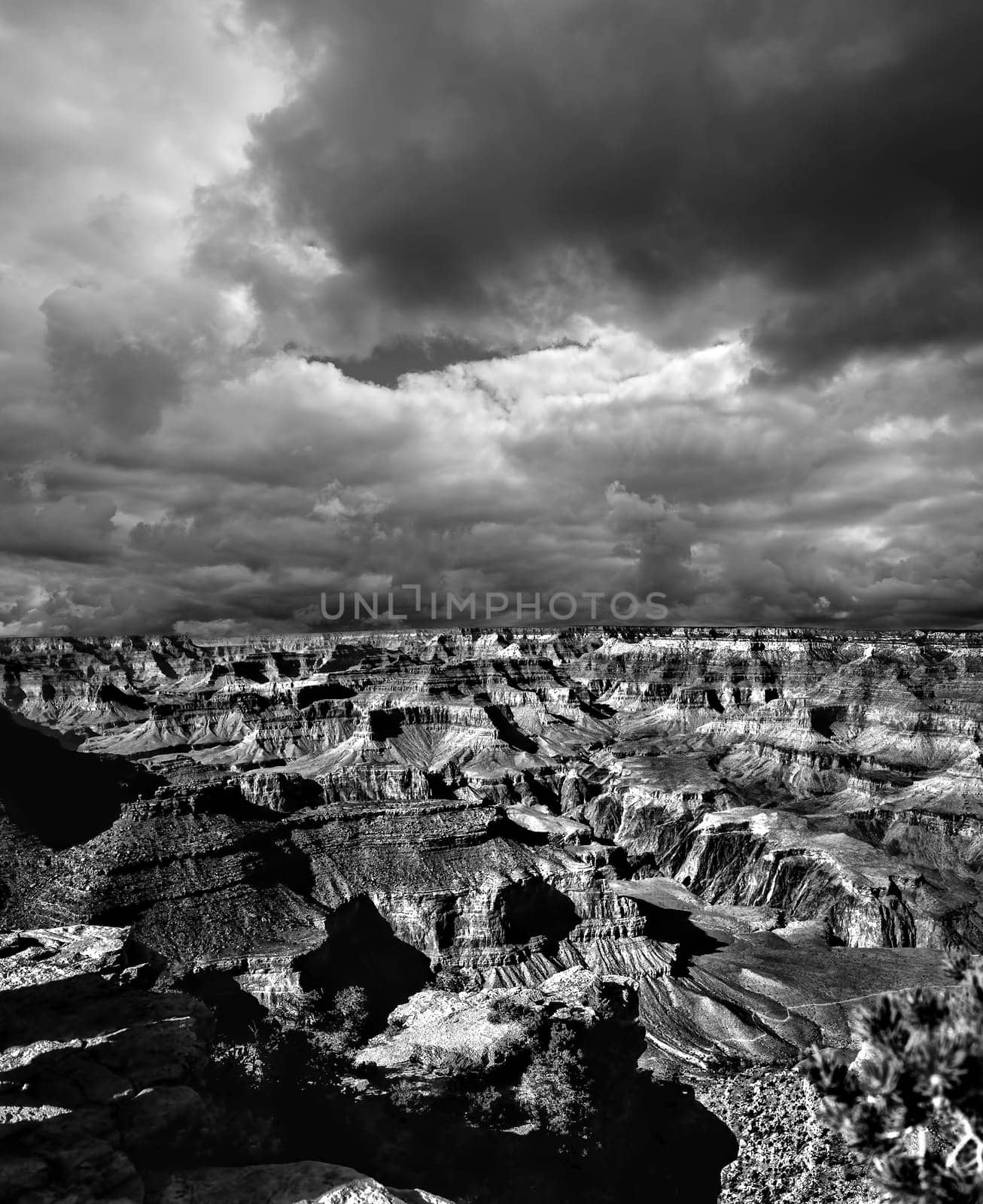 Black and white late afternoon in the Grand Canyon Arizona