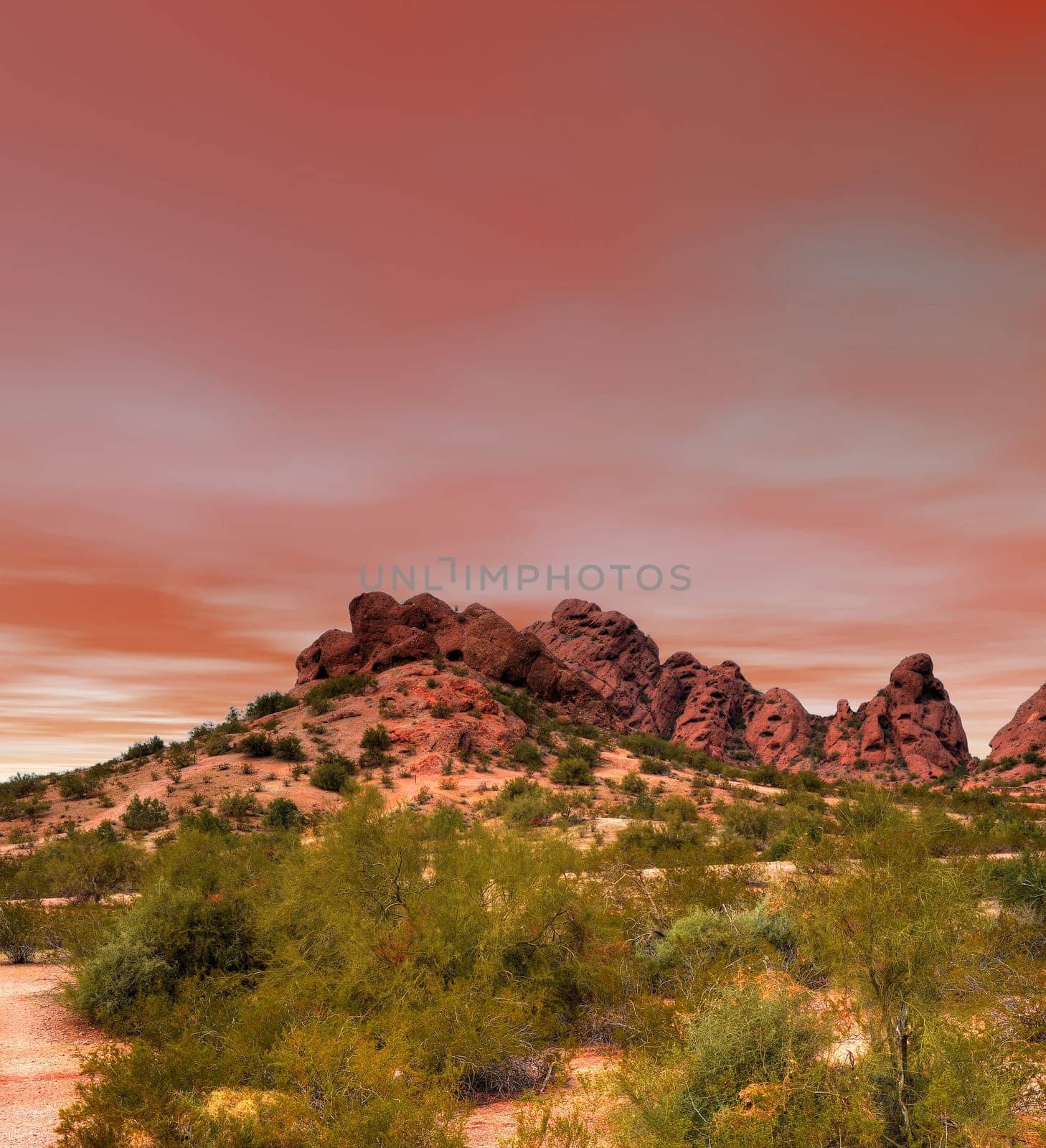 Sunset Sonora desert in central Arizona USA