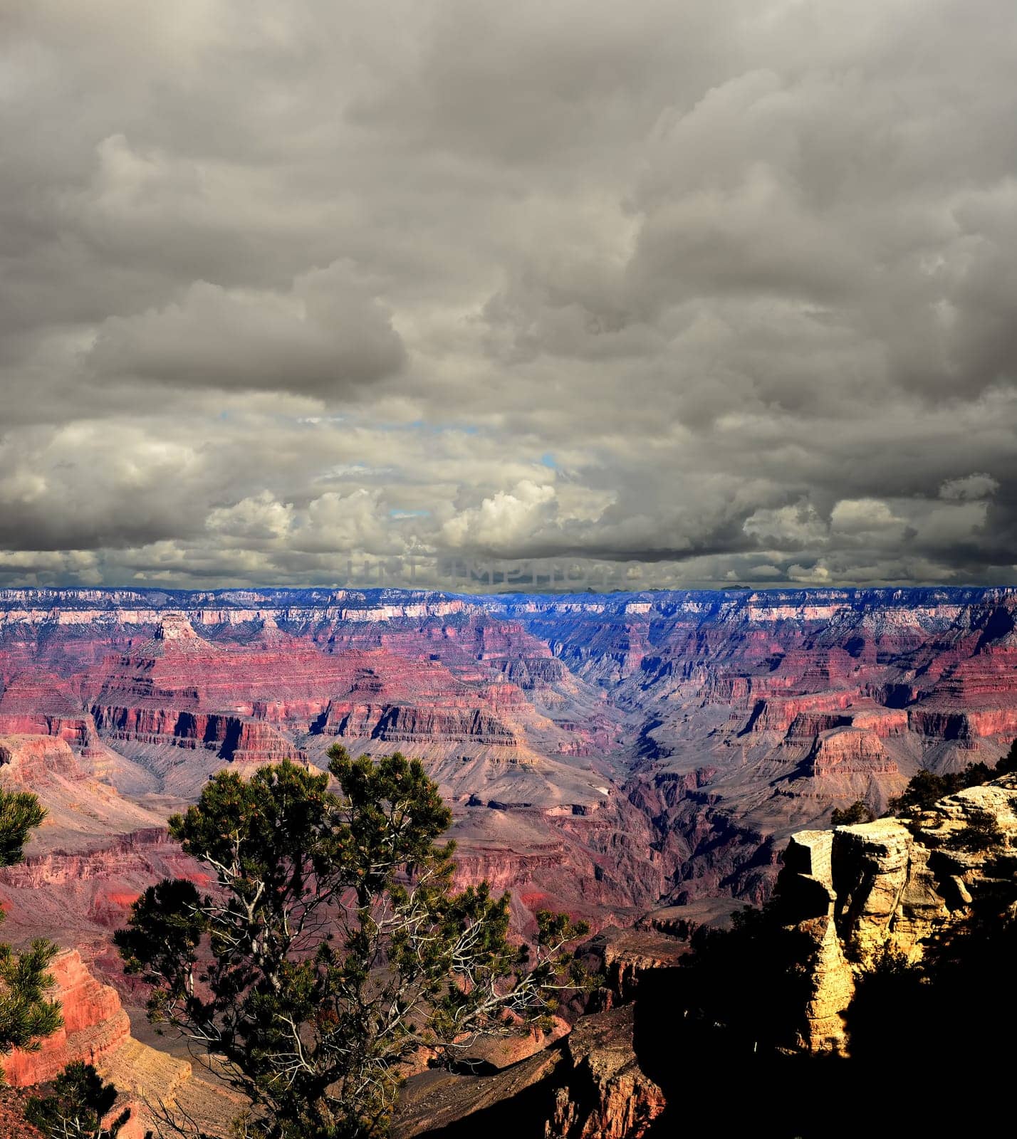 Late afternoon in the Grand Canyon Arizona