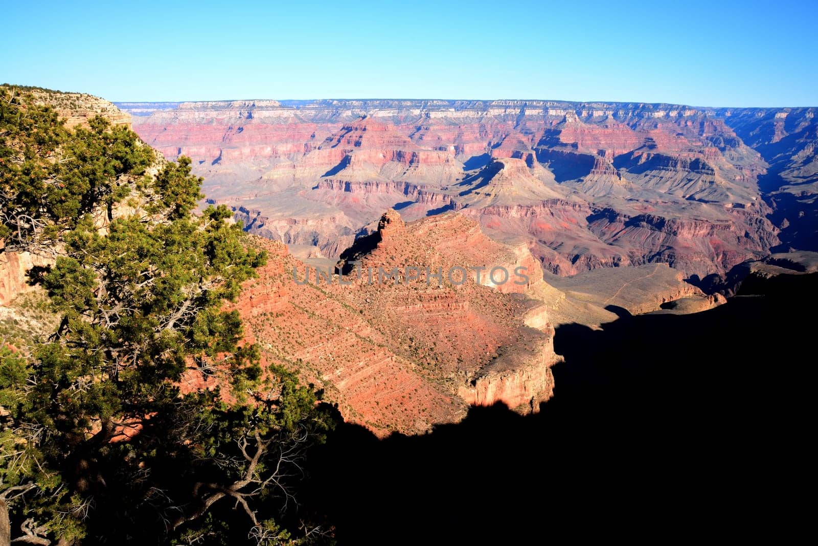 Early Morning in the Grand Canyon Arizona