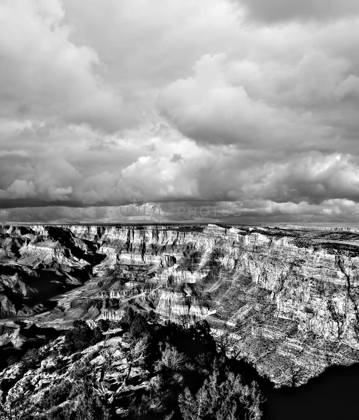 Black and white late afternoon in the Grand Canyon Arizona