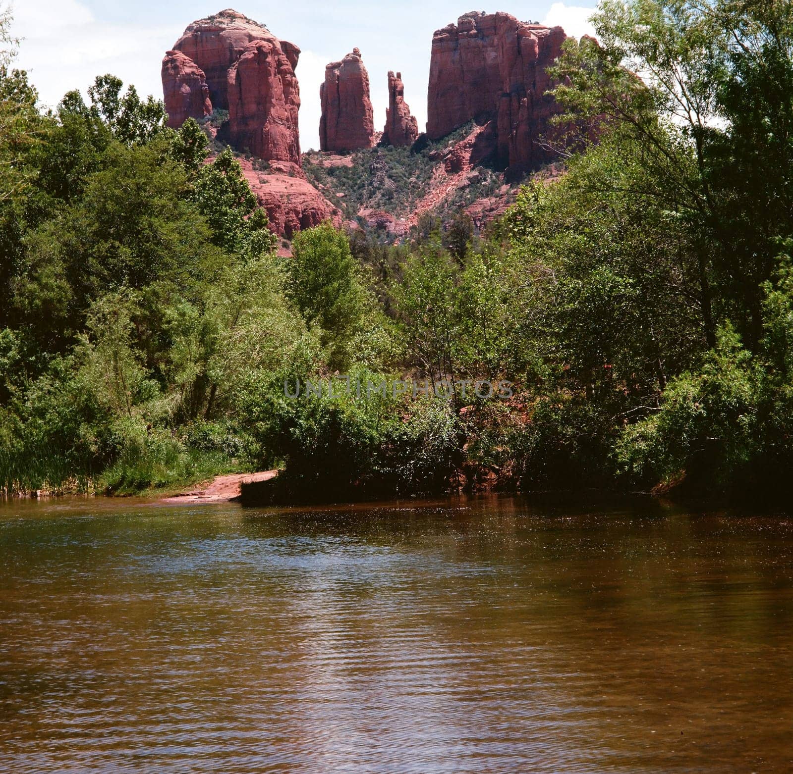 Oak creek at cathedral Rock sedona arizona