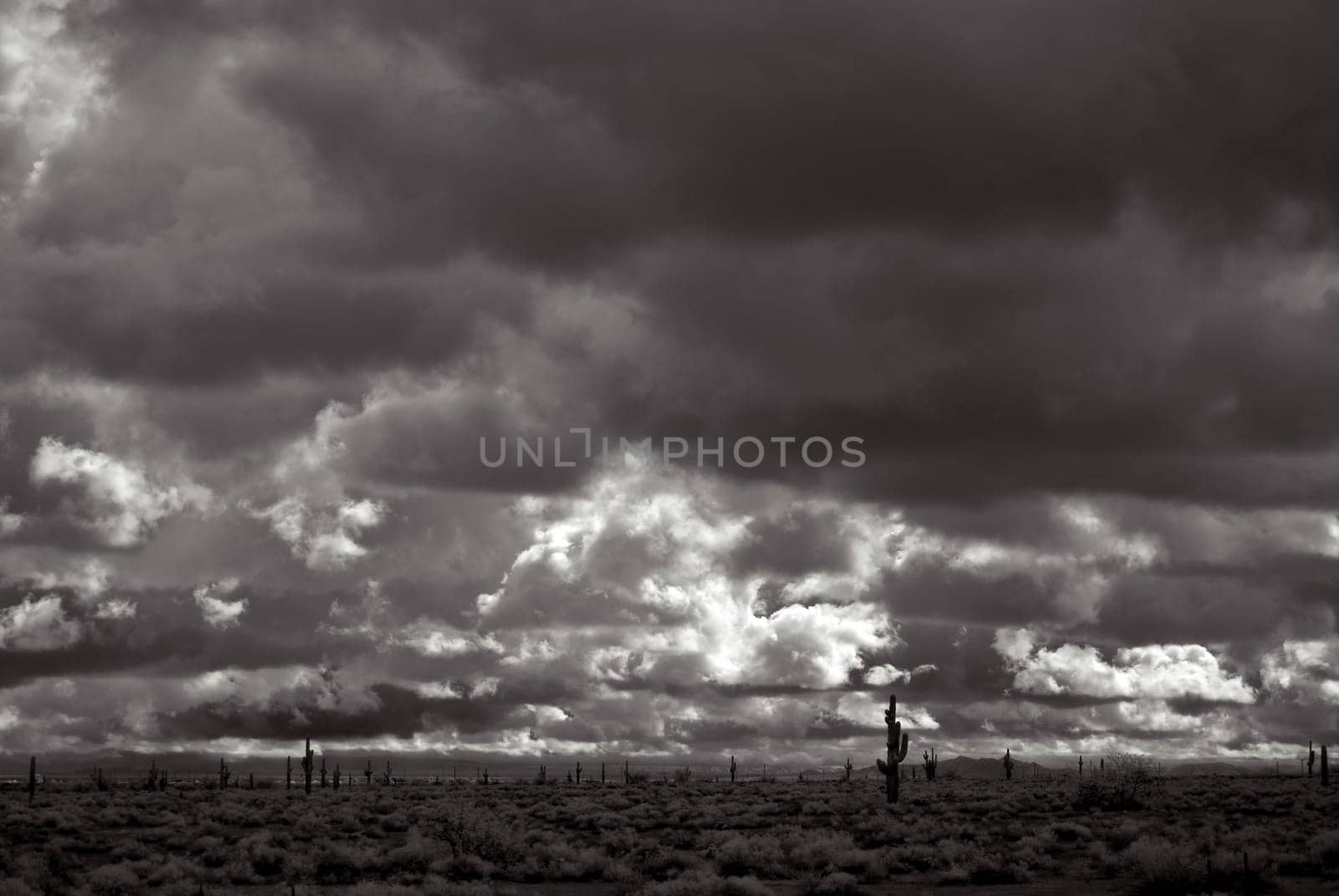 Desert storm over the southwestern desert and mountains .