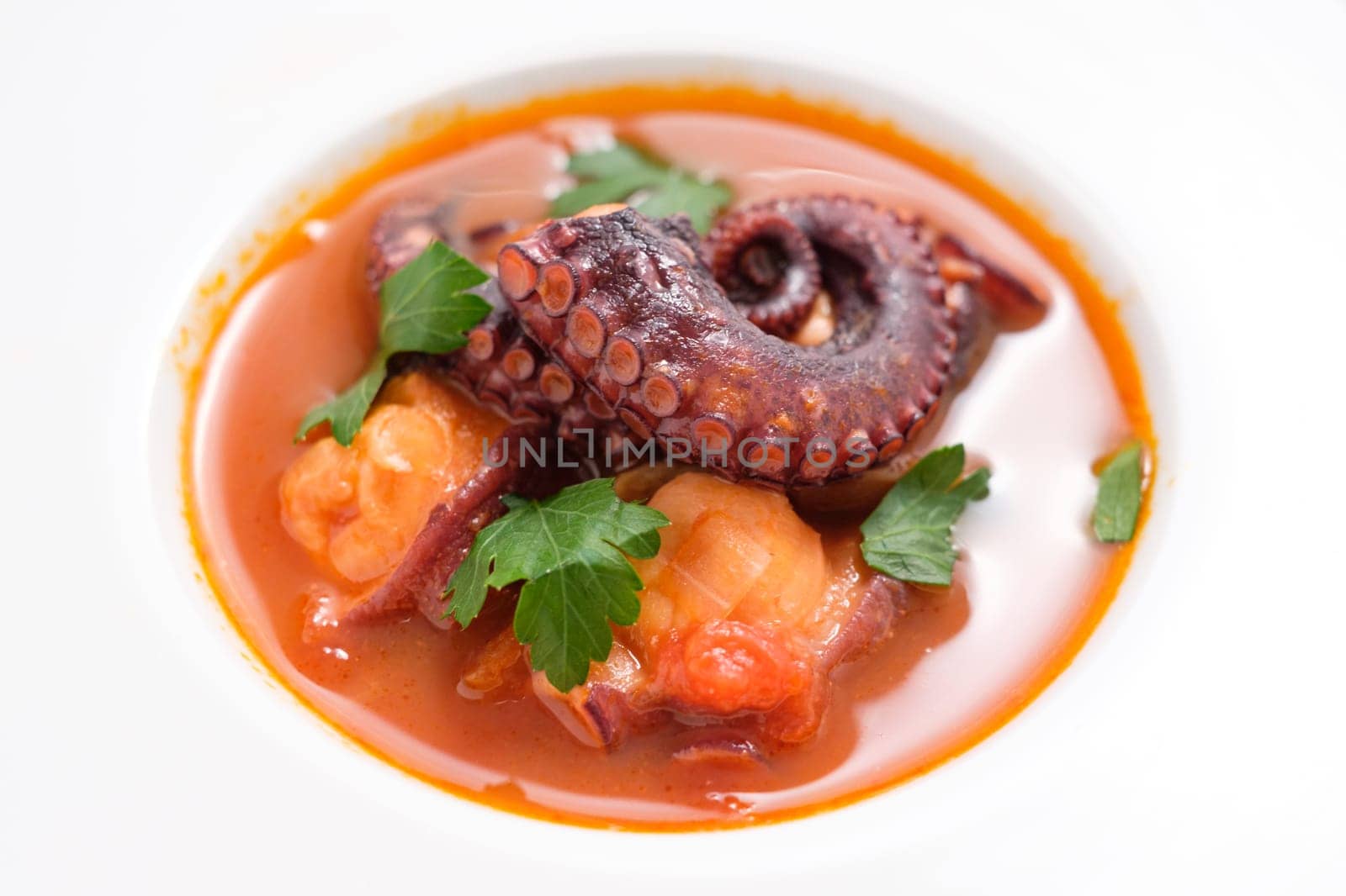 Octopus arm in tomato sauce with parsley from above