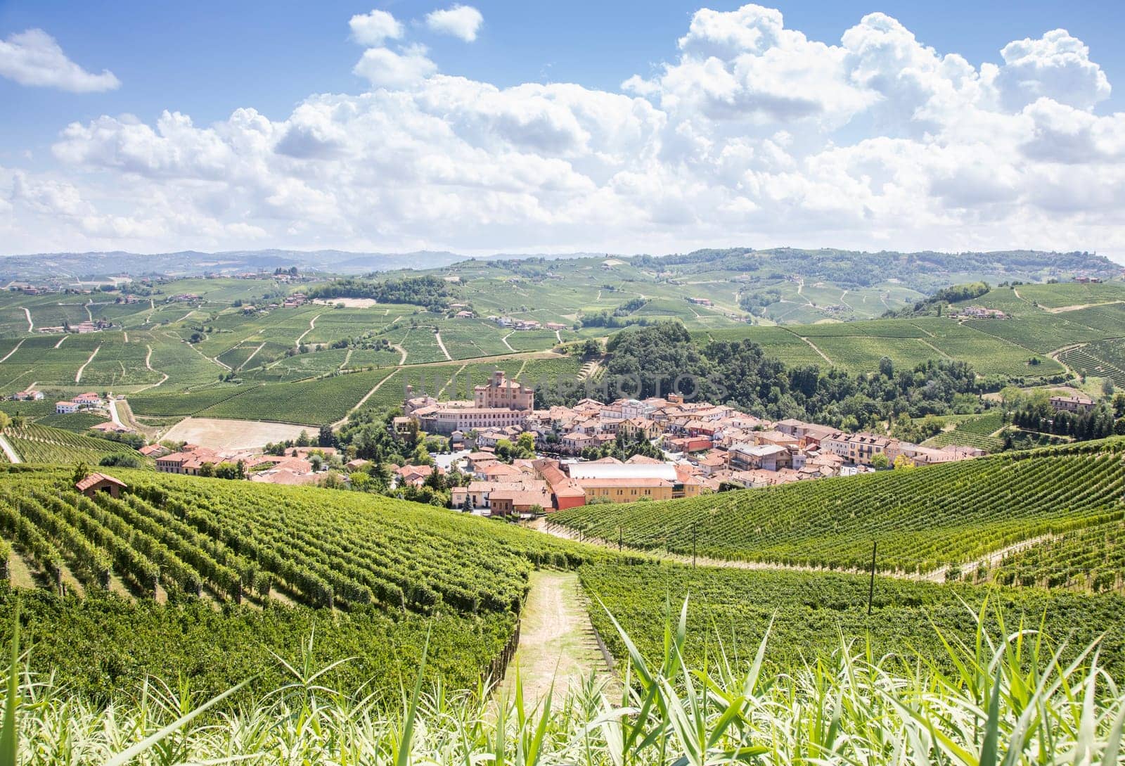 Panoramic countryside in Piedmont region, Italy. Scenic vineyard hill with the famous Barolo Castle and city.