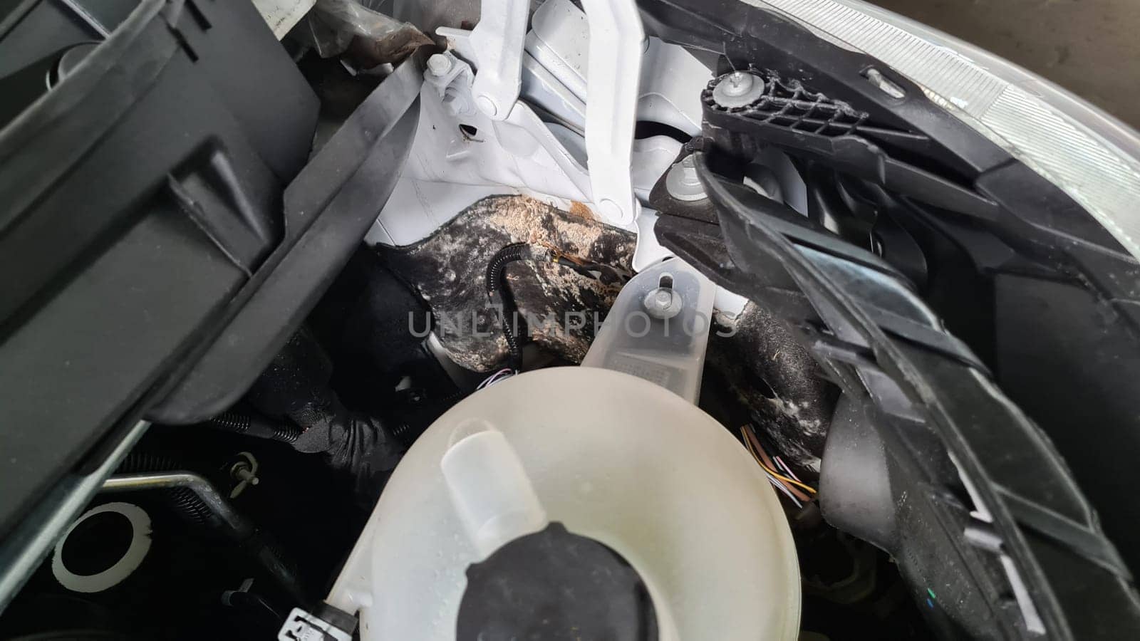 Mold in the engine compartment of a mobile home after a bad design of the drainage channel.Mold in the engine compartment of an RV