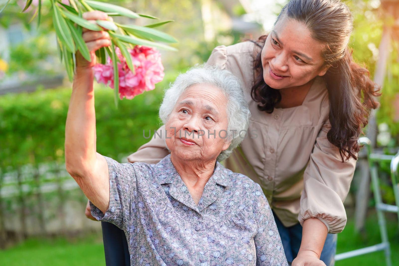Asian elderly woman enjoy in flower garden with caregiver in park.