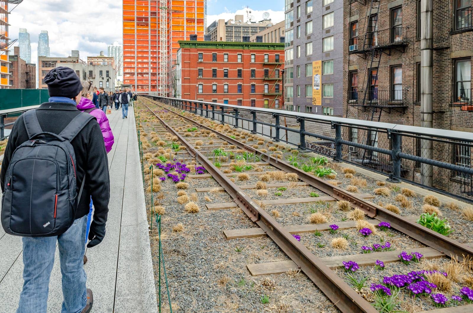 The High Line Rooftop Park, New York City with railroad track and People walking around during sunny winter day, purple flowers at the railroad track, horizontal