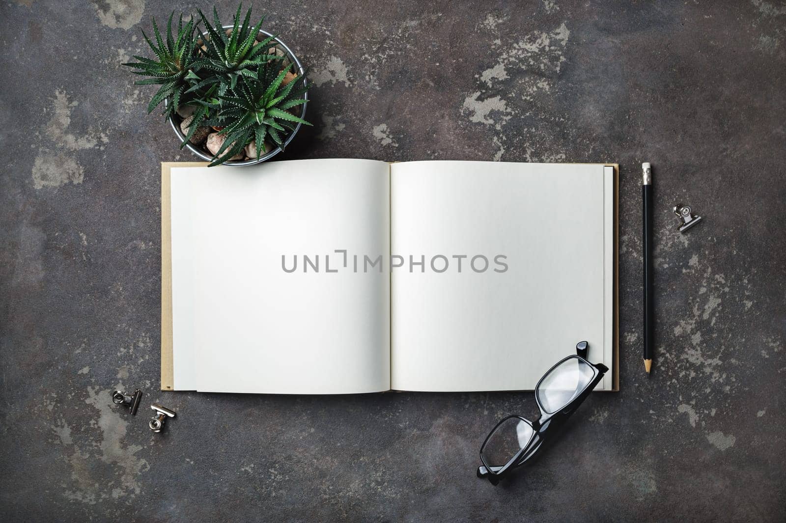 Blank open brochure, plant and stationery on concrete background. Flat lay.