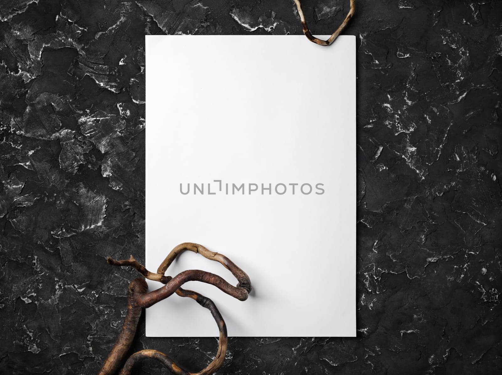 Blank letterhead and dry branch on black plaster background. Top view with copy space. Flat lay.