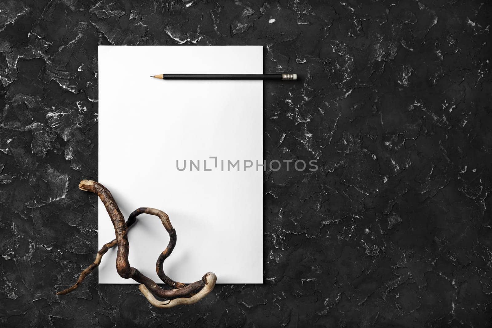 Blank letterhead, pencil and dry branch on black plaster background. Blank branding template. Blank stationery.